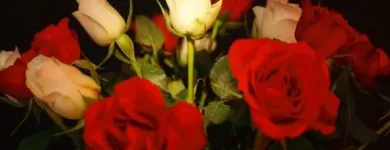 Yrityksen 4 kuva SALMISEN KUKKAKAUPPA Kukkien vähittäiskauppa  Lohja 18