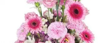 Yrityksen 5 kuva SALMISEN KUKKAKAUPPA Kukkien vähittäiskauppa  Lohja 18