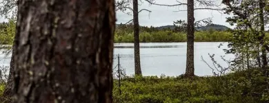 Yrityksen 2 kuva SODANKYLÄN ECOASEMA  Sodankylä LL