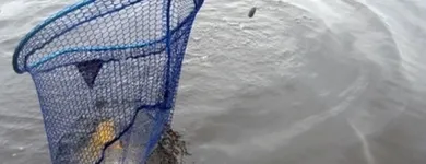 Yrityksen 3 kuva SUOMEN VAPAA-AJANKALASTAJIEN KESKUSJÄRJESTÖ RY Muualla luokittelemattomat muut järjestöt  Helsinki 18