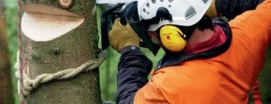 Yrityksen 1 kuva UITTOKALUSTO TAMPERE Maa- ja metsätalouskoneiden ja -tarvikkeiden tukkukauppa mukaan lukien traktorit  Tampere 11