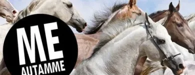 Yrityksen 1 kuva VENDADO OY Muu liikkeenjohdon konsultointi  Sotkamo 05