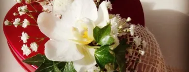 Yrityksen 2 kuva WANHAN MYLLYN KUKKA  Tuusula 18