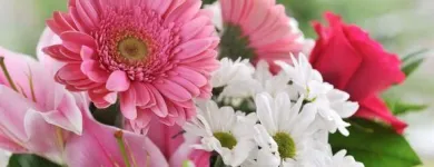 Yrityksen 3 kuva WANHAN MYLLYN KUKKA  Tuusula 18