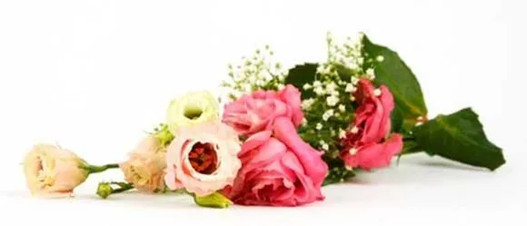 Yrityksen 3 kuva KUKKAKAUPPA KIRSIKANKUKKA TMI