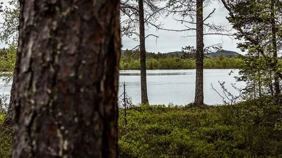 Yrityksen 2 kuva SODANKYLÄN ECOASEMA