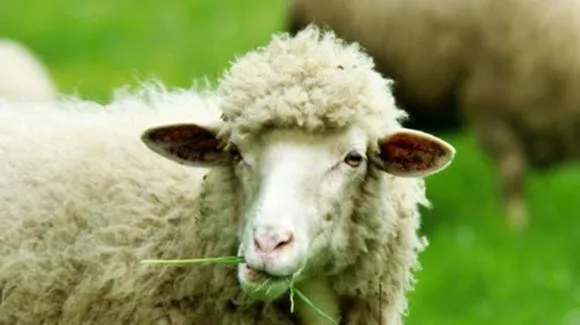 Yrityksen 1 kuva TM-LOMITUS OY