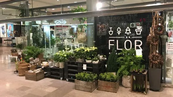 Yrityksen 6 kuva FLÖR KUKKA & PUUTARHA SKANSSI
