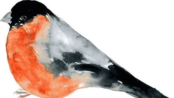 Yrityksen 2 kuva MAINIOKOTI KERTTULI