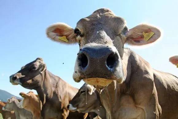 Yrityksen 4 kuva TM-LOMITUS OY