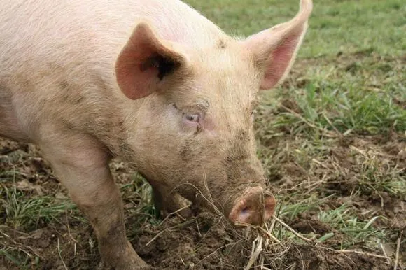 Yrityksen 5 kuva TM-LOMITUS OY