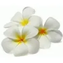 ESPOON HIERONTAKESKUS Muu terveyspalvelu  Espoo 18