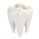 HAMMASLÄÄKÄRI EKLUND KAISA Hammaslääkäripalvelut  Sotkamo 05